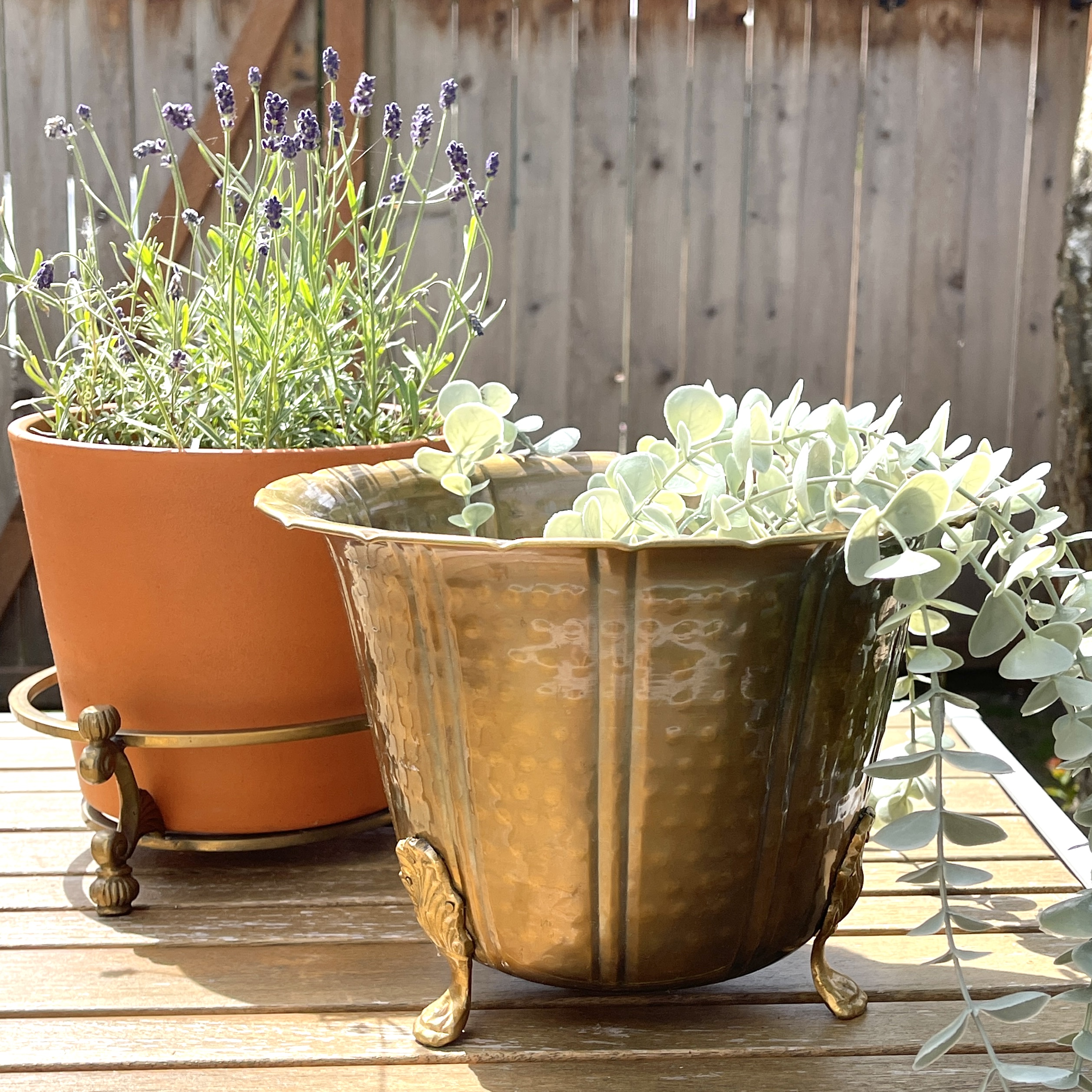 Incorporating Brass Planters